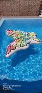 Gallery image of Casa Blue in Porto Alegre