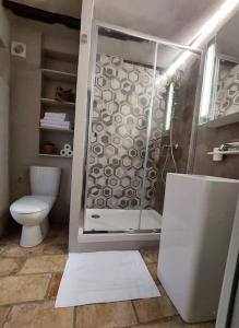 La salle de bains est pourvue d'une douche et de toilettes. dans l'établissement Maison de village Haut-de-Cagnes avec vue mer, à Cagnes-sur-Mer
