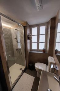 uma casa de banho com um chuveiro e um WC. em Maison de village Haut-de-Cagnes avec vue mer em Cagnes-sur-Mer