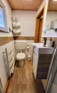 Koupelna v ubytování Ferienwohnung Berge & Seen + 17 fotografií