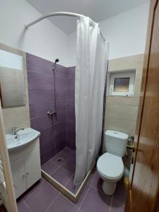 a bathroom with a shower and a toilet and a sink at Casuta De Sub Munte Cârțișoara in Cîrţişoara
