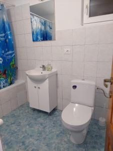 a bathroom with a toilet and a sink at Casuta De Sub Munte Cârțișoara in Cîrţişoara