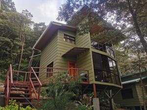 une maison au milieu d'une forêt dans l'établissement Casa Clusia, à Monteverde Costa Rica