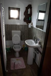a small bathroom with a toilet and a sink at Cabanele Rus in Budeşti