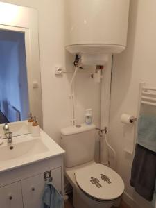 łazienka z białą toaletą i umywalką w obiekcie Appartement lumineux et moderne w mieście Le Mans +13 zdjęć