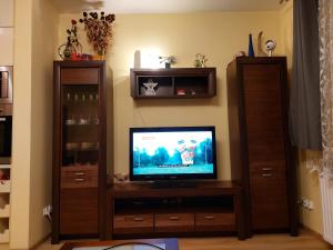 TV a/nebo společenská místnost v ubytování Przytulne mieszkanie z miejscem parkingowym