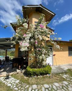 a tree with pink and white flowers in front of a house at La Cima del Cielo in Las Lajas