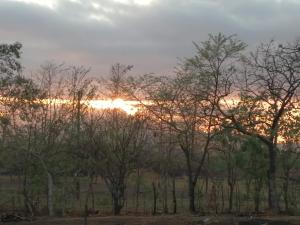 a group of trees with the sunset in the background at La Cima del Cielo in Las Lajas