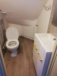 małą łazienkę z toaletą i umywalką w obiekcie L'appart des Sotrés w mieście Saint-Dié