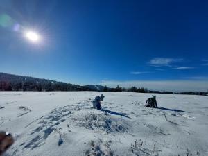 Divčibarski M.S.A. kutak en invierno