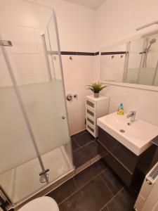 a bathroom with a shower and a sink and a toilet at Apartment Salinenpromenade Bad Kissingen in Bad Kissingen