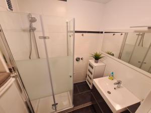 a bathroom with a shower and a sink at Apartment Salinenpromenade Bad Kissingen in Bad Kissingen