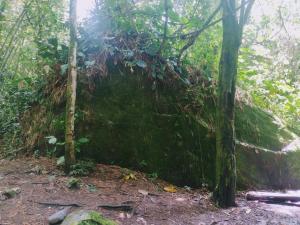 a large rock in the middle of a forest at Villa Falian Nido martín pescador in Viotá