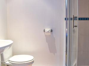 bagno bianco con servizi igienici e doccia di Little Fern a Sourton