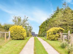 a path through a field with trees and a fence at Little Fern in Sourton