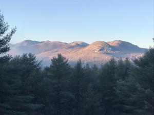 un grupo de montañas con árboles en primer plano en Adirondack Mountain View Retreat en Elizabethtown