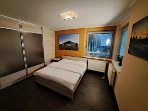 ein kleines Schlafzimmer mit einem Bett und einem Fenster in der Unterkunft Resident Harrachov Family apartment in Harrachov