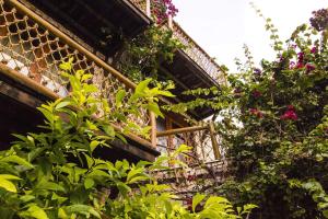 a bunch of plants on the side of a building at Pousada Manga Rosa Beira Mar in Natal