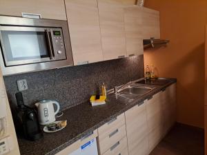 eine Küche mit einer Spüle und einer Mikrowelle in der Unterkunft Resident Harrachov Family apartment in Harrachov
