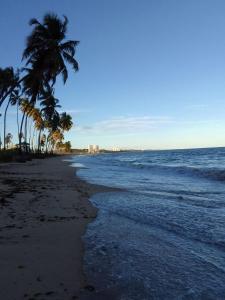 una playa con palmeras y el océano en Casa do italiano, en Maceió