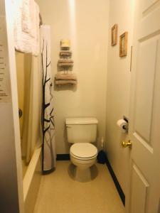 La salle de bains est pourvue de toilettes, d'une douche et de serviettes. dans l'établissement Black Hills Motel at Quail's Crossing, à Hill City