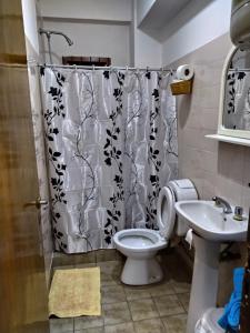 a bathroom with a toilet and a shower curtain at Departamento centrico en Posadas, garage opcional D3 in Posadas