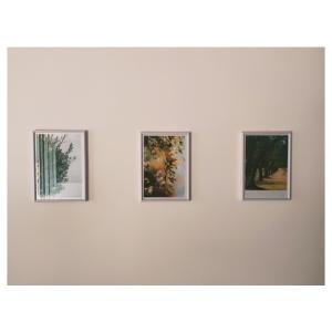 a group of four pictures on a white wall at Tonea's Houses in Himare