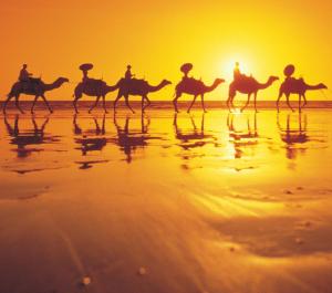 
a number of animals on a beach with a sky background at Mantra Frangipani Broome in Broome
