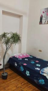 Postel nebo postele na pokoji v ubytování Grand Safari Hostel