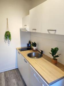- une cuisine avec un évier et un comptoir en bois dans l'établissement Paisible duplex au centre-ville, au Mans