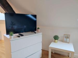 - une télévision sur une commode blanche avec des plantes dans l'établissement Paisible duplex au centre-ville, au Mans