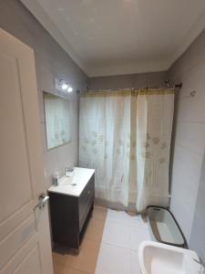 a bathroom with a sink and a shower curtain at Miradores Sáenz Peña in Tigre