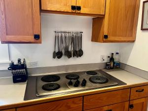 a stove top in a kitchen with wooden cabinets at Forest Park Sanctuary in Portland