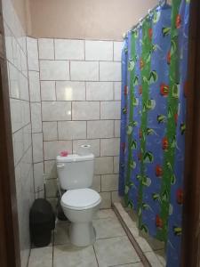 a bathroom with a toilet and a shower curtain at BRIKE Apartamento in Puerto Jiménez