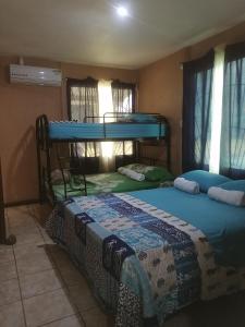 2 Etagenbetten in einem Zimmer mit Fenstern in der Unterkunft BRIKE Apartamento in Puerto Jiménez