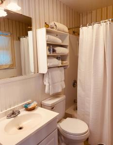 y baño con aseo, lavabo y ducha. en Ledge Rock at Whiteface, en Wilmington