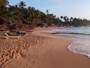 una playa con palmeras y huellas en la arena en Sansala Guesthouse & Restaurant, en Tangalle
