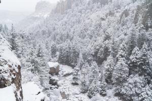 a mountain covered in snow with trees on it at Hacienda Don Armando Boutique & Spa in Creel