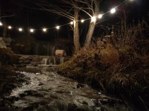 a nightime picture of a stream with lights at Bungalow Casa Corbilor in Stăneşti
