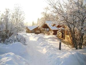 a log cabin in the snow with snow covered trees at Naturerlebnisdorf Stamsried 1 in Stamsried