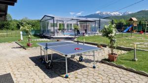 a ping pong table in front of a glass house at Cabana Supporter -Supporter Chalet in Porumbacu de Sus