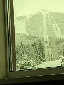 a view of a ski slope from a window at Chalet Kokhta in Bakuriani