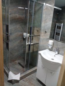 La salle de bains est pourvue d'une douche et d'un lavabo. dans l'établissement Pensiunea Duet, à Sărata-Monteoru