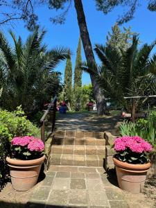 a stairway with two pots of pink flowers and palm trees at Toscana Holiday Village in Montopoli in Val dʼArno