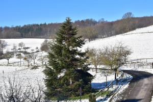 Ferienbauernhof Brandt during the winter