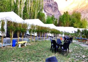 a group of chairs and tables in a field with trees at Desert Oasis Camp in Hundar