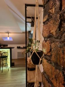 Fotografie z fotogalerie ubytování Gondola Apartment v destinaci Sarajevo