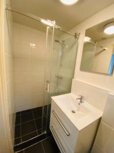 ein Bad mit einer Dusche, einem Waschbecken und einem Spiegel in der Unterkunft Vakantiehuis Robbenoort 18 in Lauwersoog