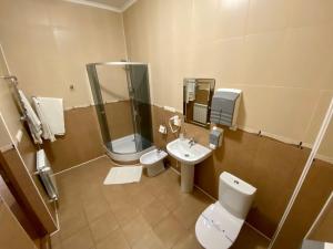 a bathroom with a toilet and a sink and a shower at In hotel in Kamianets-Podilskyi