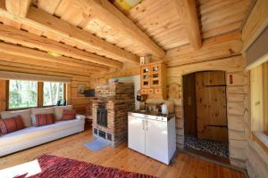 a log cabin kitchen and living room with a fireplace at Ungru Holiday Houses in Suuresadama